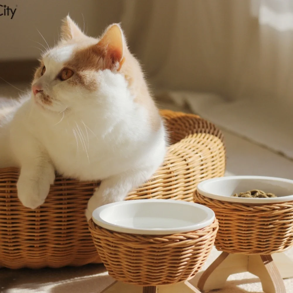 Handmade Rattan Cat And Dog Ceramic Bowl